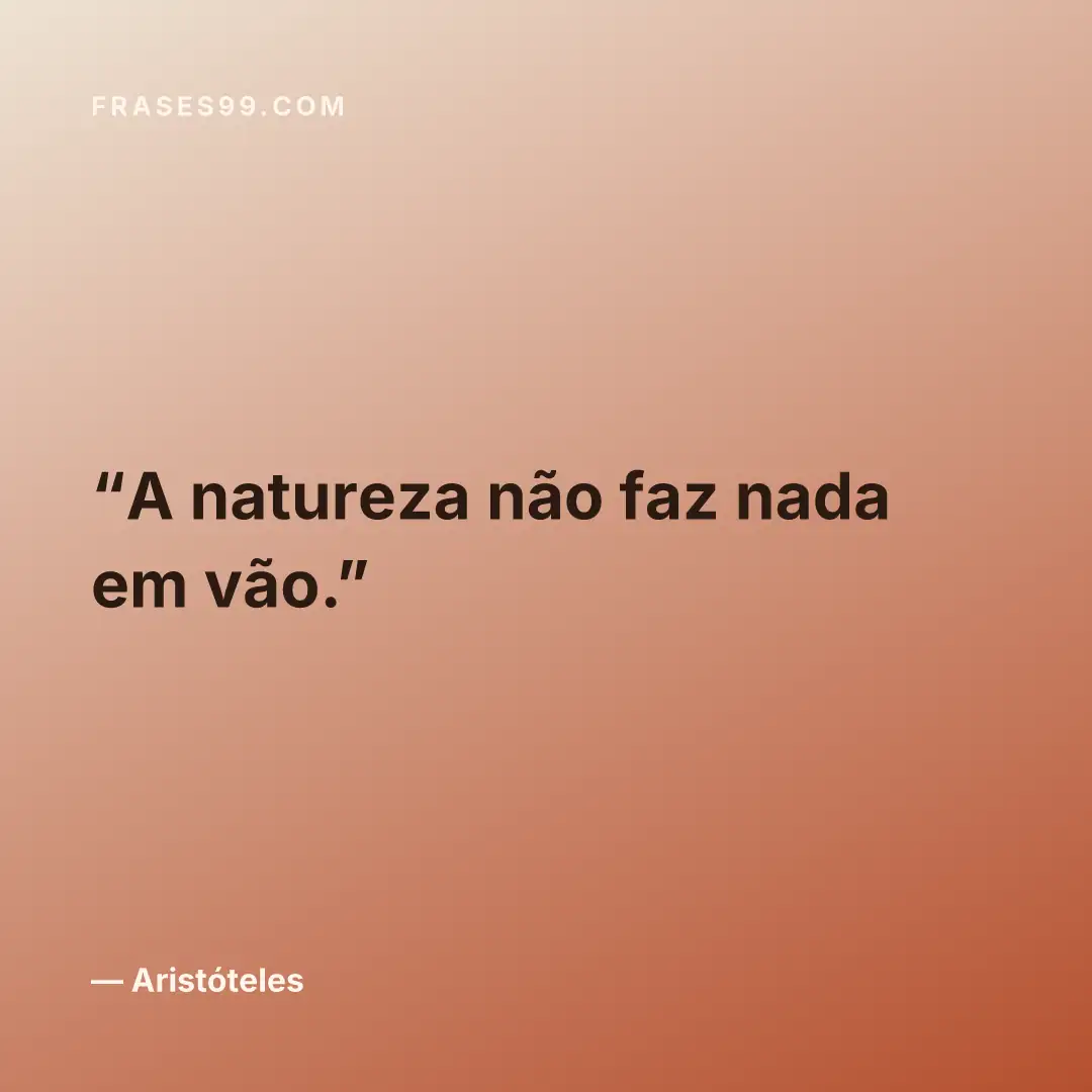 A natureza não faz nada em vão.