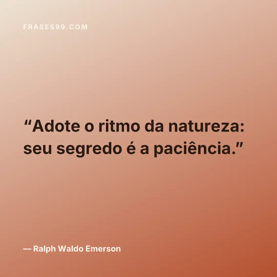 Adote o ritmo da natureza: seu segredo é a paciência.