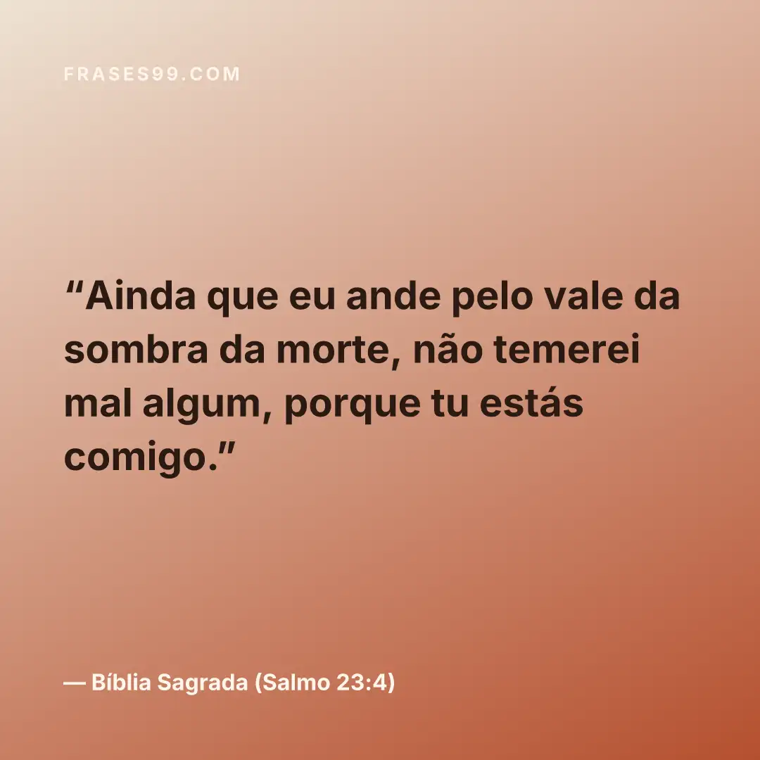 Ainda que eu ande pelo vale da sombra da morte, não temerei mal algum, porque tu estás comigo.
