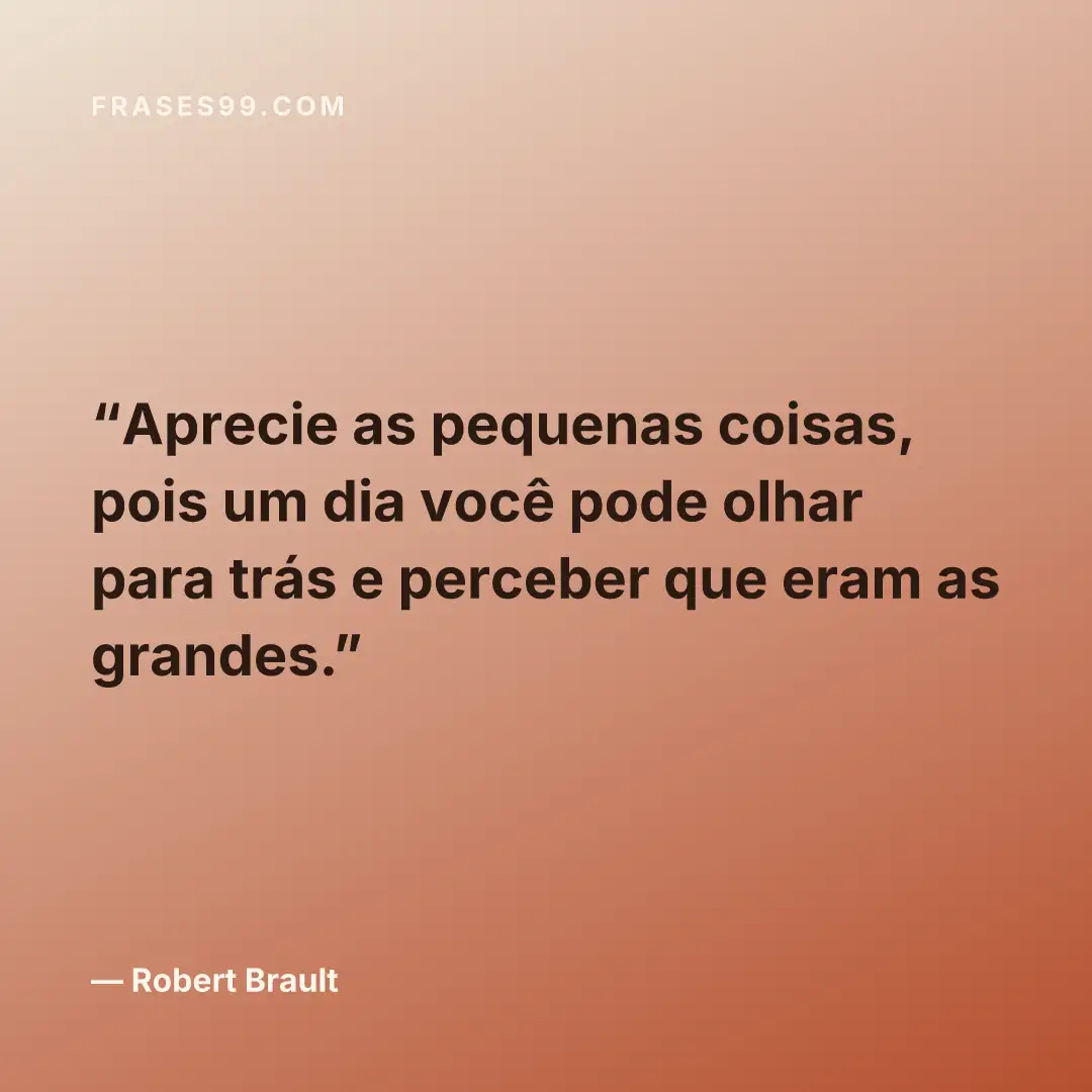 Aprecie as pequenas coisas, pois um dia você pode olhar para trás e perceber que eram as grandes.